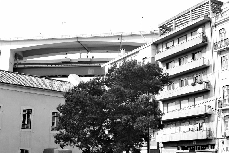 Negative0-33-33A(1)