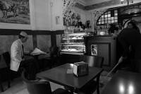 DSC03819-bw